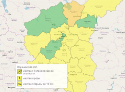 Жёлтый уровень опасности объявили из-за погоды в Воронежской области