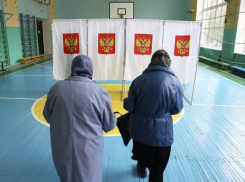 К 18 часам явка на выборы воронежского губернатора составила менее 40%