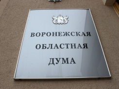 Воронежская областная Дума ужесточила законы о транспортном обслуживании