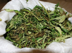 Борисоглебцу грозит до 10 лет тюрьмы за хранение марихуаны