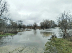 Движение по низководному мосту через Ворону закрыли в Грибановском районе