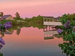 Сиреневую ночь в усадьбе Рахманинова показал Алишер Шарипов