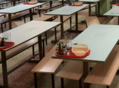 В детских садах и школах Грибановского района детей кормили просроченными продуктами