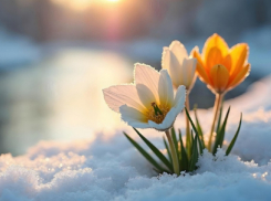 Синоптики пообещали аномально тёплый март в Воронежской области