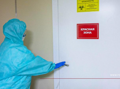 Из роддомов делают «красные зоны»  в Воронежской области