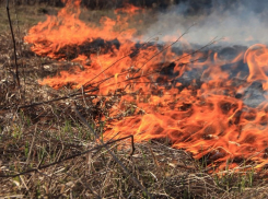 На всей территории Воронежской области установился III класс пожарной опасности