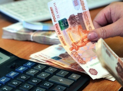 В Воронежской области прошёл рейд по взысканию задолженности по заработной плате