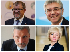 Сколько денег заработали депутаты Госдумы из Воронежской области