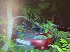 Женщина погибла, а два ребенка оказались в реанимации в результате  ДТП под Борисоглебском 