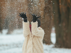 Снежный и морозный январь ожидает жителей Воронежской области 
