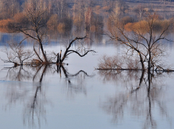 Еще один мост ушел под воду на востоке Воронежской области