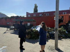 Прокуратура и администрация провели совместные рейды по несанкционированным свалкам в Борисоглебске