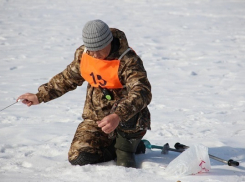 На Хопре под Третьяками прошел Чемпионат Борисоглебского городского округа по рыбной ловле со льда