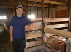 В  Воронежской области селянам возместят часть затрат на покупку животных и птицы