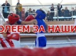 Три дня бокса в память о легендарном тренере Борисоглебска