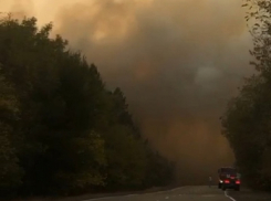 Сезон ландшафтных пожаров в Воронежской области может начаться уже в марте