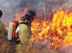 Высший класс пожарной опасности установился в Воронежской области