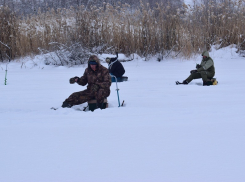 В Грибановском районе прошел традиционный турнир по зимней рыбалке на призы ООО «ГМЗ»