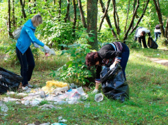 3000 борисоглебцев приняли участие в первом осеннем субботнике