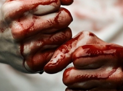 Под Борисоглебском мужчина убил односельчанина, заподозрив в воровстве