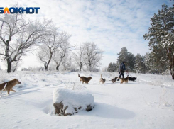 Влияние атмосферного фронта с юго-запада принесет в Воронежскую область снег и новые морозы