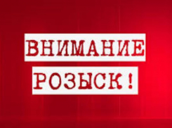 213 преступников разысканы в Воронежской области за полгода