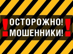 В Воронежской области появился новый вид мошенничества