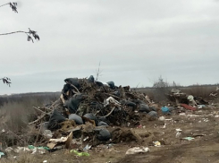 75 тонн мусора собрали на «родных берегах» жители Воронежской области, а в Борисоглебске царствует «мусорный барон»