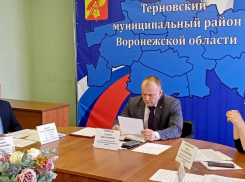 В Терновском районе подвели итоги развития сельских поселений