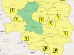 Туман и грозы стали причинами желтого уровня опасности в Воронежской области