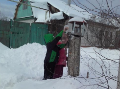 В экологическую акцию «Покормите птиц зимой!» активно включились юные борисоглебцы