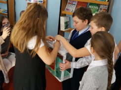 Борисоглебским школьникам рассказали о выборах
