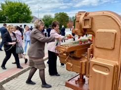 В преддверии Дня Победы в Борисоглебске почтили память тружеников тыла и медиков 