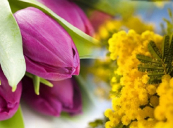 Жителям Воронежской области рассказали, куда перенесут выходной день с 8 марта  