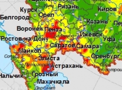 Желтый и оранжевый уровни опасности объявили в Воронежской области