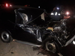 Минувшей ночью в Грибановском районе в ДТП погиб водитель «Лады»