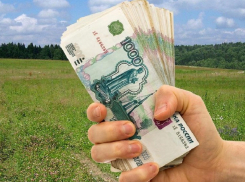 Многодетные семьи Воронежской области смогут получить деньги вместо земельного участка