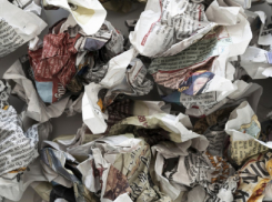 27 незаконных свалок обнаружили в Воронежской области в 2025 году