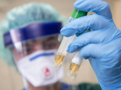 Коронавирус продолжает сжимать кольцо вокруг Воронежской области