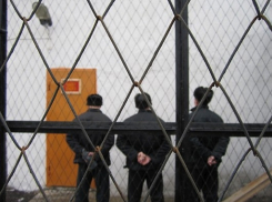 Суд приговорил терновского эксгибициониста к 6 годам колонии строгого режима