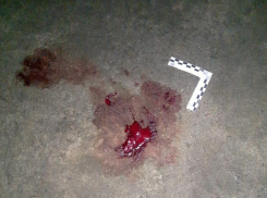 Водитель, сбивший пешехода и скрывшийся с места ДТП в Борисоглебске, явился с повинной