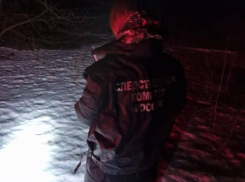 В Грибановском районе неизвестные застрелили в поле женщину