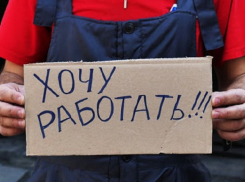 Кошмар на рынке труда: на 50% за год увеличилось число безработных в Воронежской области