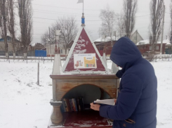 Книжный домик  в Театральном сквере Борисоглебска пополнился новыми книгами