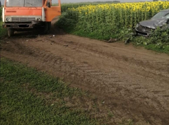 КамАЗ с легковушкой нарушили правила и столкнулись на подсолнуховом поле в Терновском районе