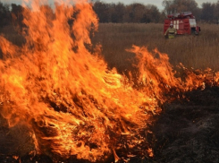 В июле в Воронежской области стоит ждать повышения пожароопасности