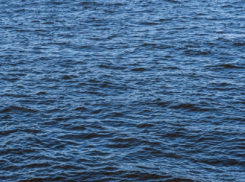 В водоёмах Воронежской области с начала года погибли 53 человека