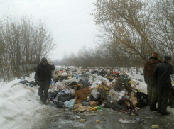 Мусорный апокалипсис в Грибановском районе запечатлел на фото наш читатель