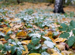 МЧС предупредило жителей Воронежской области о надвигающихся заморозках