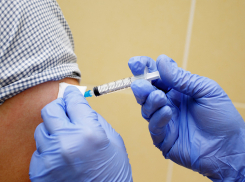 Привить от гриппа 75% сотрудников  рекомендовал губернатор Гусев 